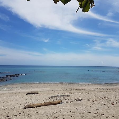 ニコヤ Pura Vida House Cabo Blancoヴィラ エクステリア 写真